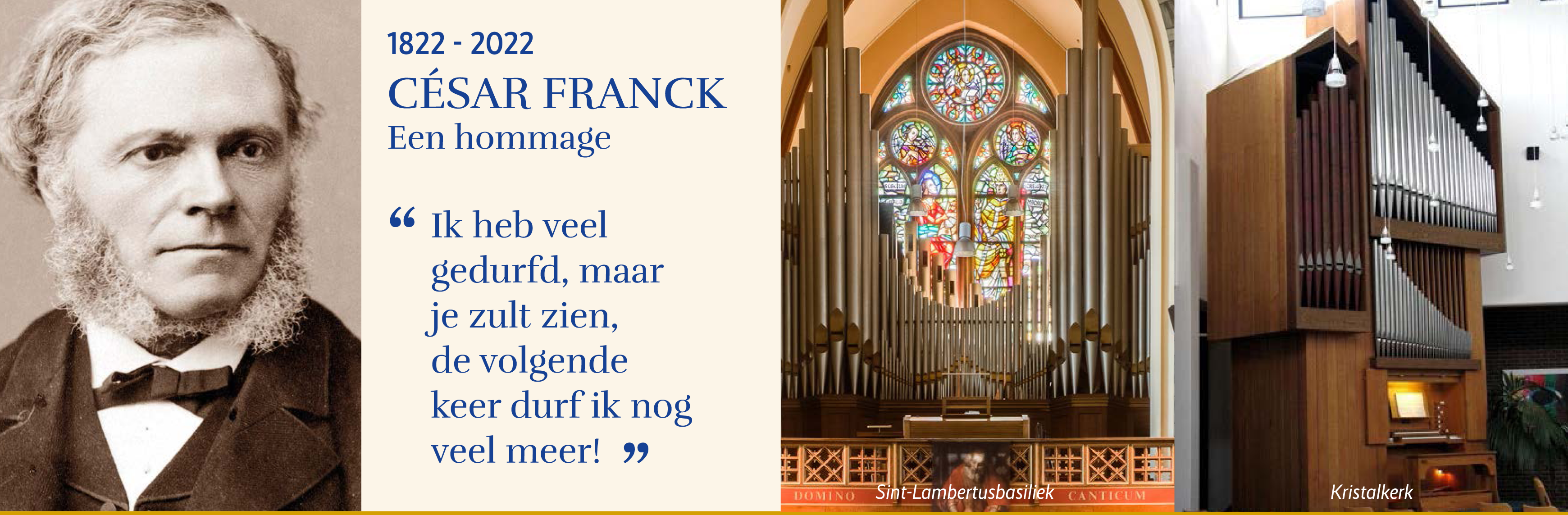 Vernieuwde website